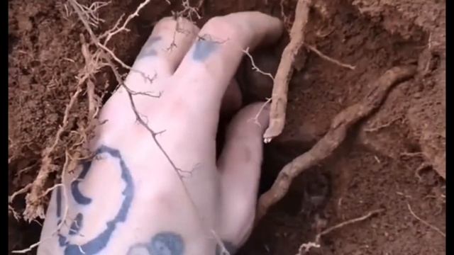 Finding Crystals | Crystal Collection And Rockhounding #crystals