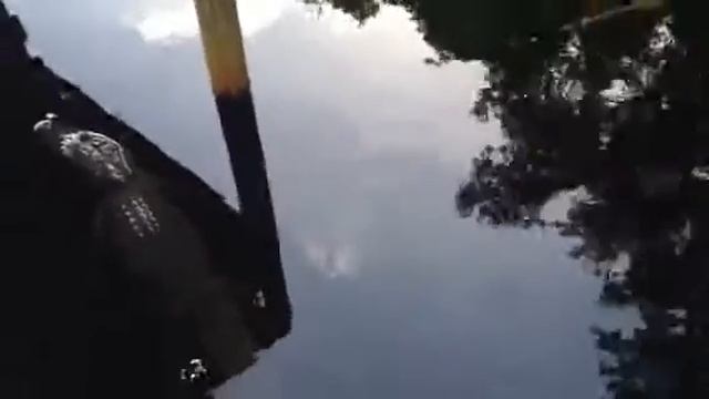 Alligator Visit at Bird Sanctuary смотреть онлайн