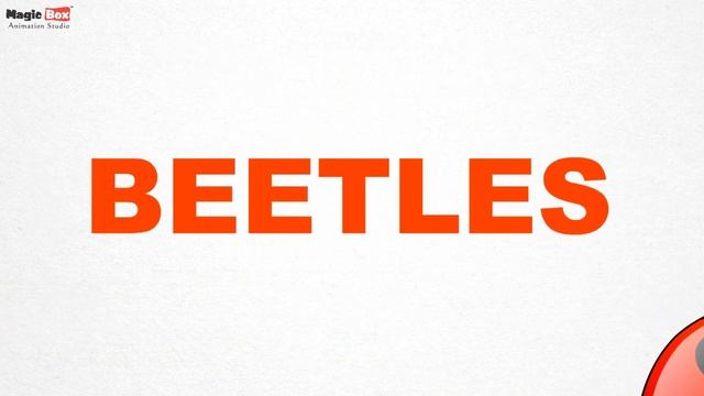 Beetles - Insects - Pre School - Learn Spelling Videos For Kids смотреть онлайн