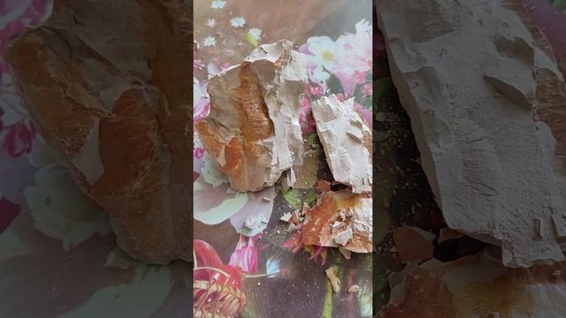 Глина Жетысай Кизил/Zhetysai Dogwood Clay