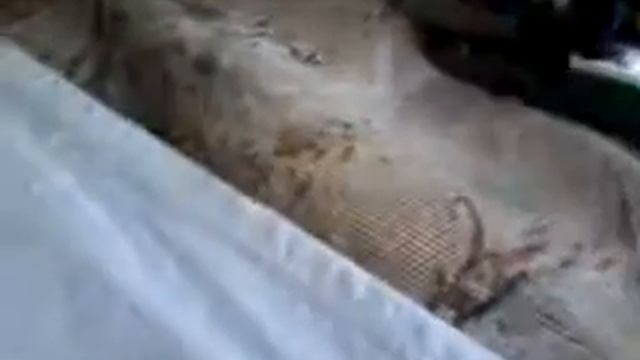 Топ 4 построек лего(1) смотреть онлайн