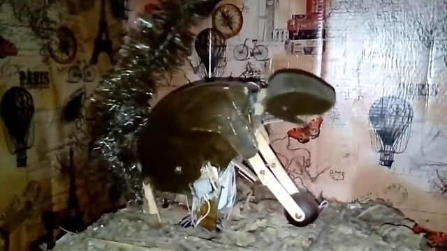 Robot squirrel смотреть онлайн