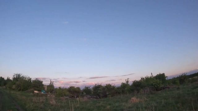 ТРЕНИРОВКА ПО КАНИКРОССУ | БЕГ С СОБАКОЙ