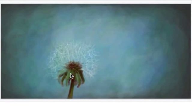 Dandelion : speed drawing : vkontakte graffiti смотреть онлайн