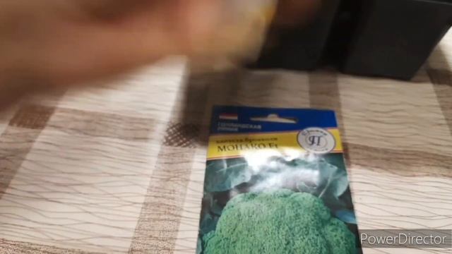Посадка ранней зелени и капусты на рассаду смотреть онлайн