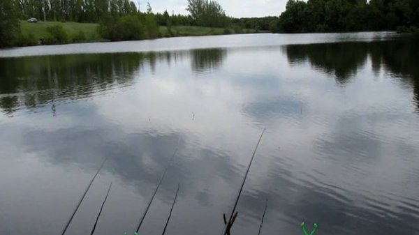 Здесь есть карась. Новосельцевский каприз три 😉👌🔥