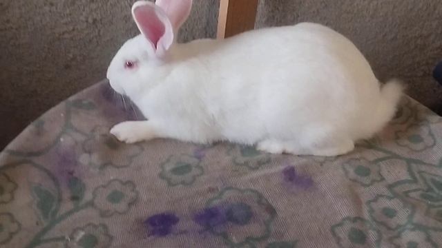 Профілактика хвороб. смотреть онлайн