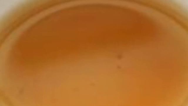 پادشاه روغن ها را بشناسید / فواید روغن کنجد چیست؟ смотреть онлайн