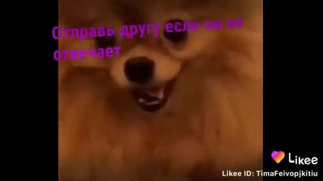 Абонент не абонент смотреть онлайн