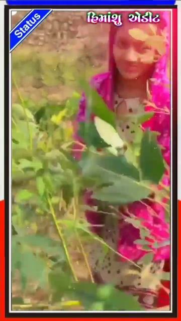 ખેતરમાં લાગે તુવેર || Parul Rathva New Timli WhatsApp Remix Status смотреть онлайн