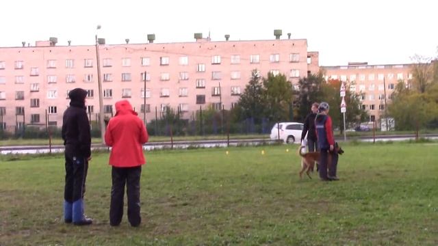 Савельева Анна Малинуа Зверобой ОБД 1 в пушкине 24.09.16 смотреть онлайн