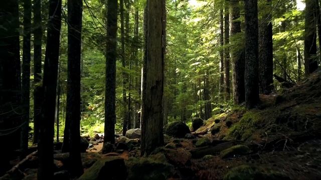 Твоя любов, яка вона велика•Християнська пісня•Слухай і завантажуй•@cristianmusicthebest смотреть онлайн