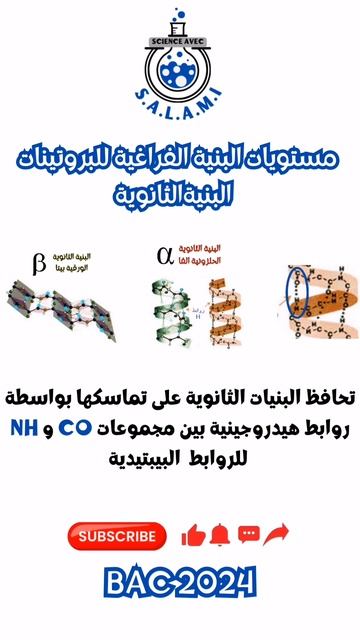 روابط البنية الثانوية من وحدة العلاقة بين بنية ووظيفة البروتين #bac2024 смотреть онлайн