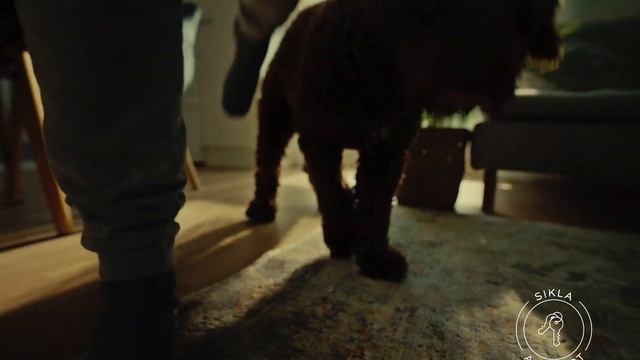 Sikla - Tilaratkaisut koko elämänkaaren varrelle смотреть онлайн