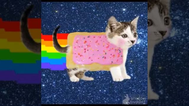Nyan cat song смотреть онлайн