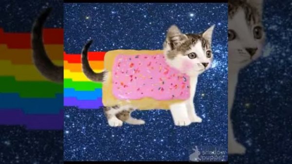 Nyan cat song