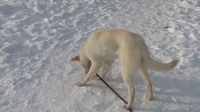 Тина смотреть онлайн