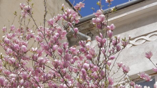 Стрий 4K смотреть онлайн