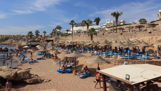 Sharm el Sheikh. Sharks bay. Red sea. Egypt смотреть онлайн