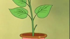 яааазь   нупогоди