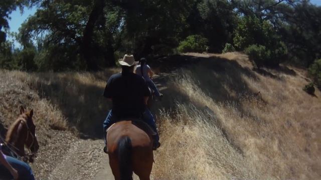 Lake Sonoma 6/2/13 #2 смотреть онлайн