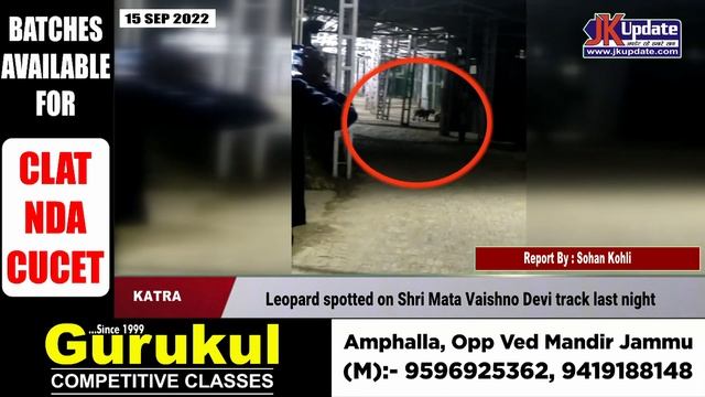 Leopard spotted on Shri Mata Vaishno Devi track last night смотреть онлайн