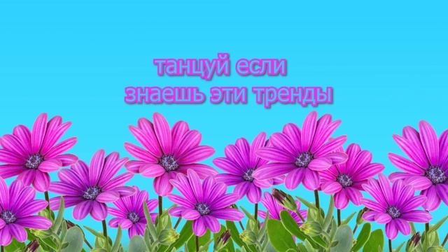 Танцуй если знаешь этот тренд тик ток смотреть онлайн