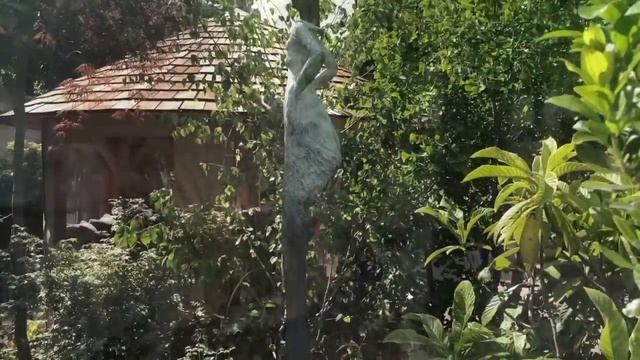 VLOG, visite de l'exposition "Jardins Jardin" 2019 смотреть онлайн