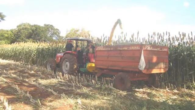 Sorgo смотреть онлайн