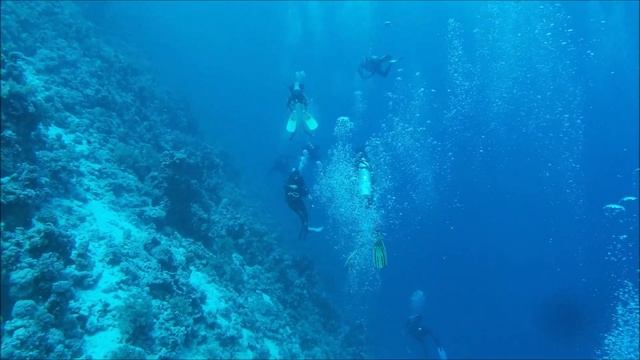 Sharm El Sheik 2023 - Egitto - Mar Rosso смотреть онлайн