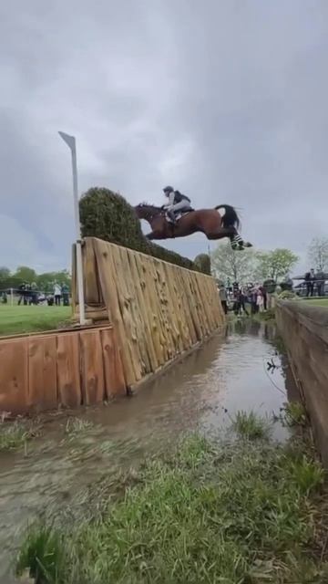 #Horse#High#Jump#shortvideo #trendingshorts #viralshorts #shorts