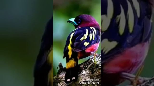 Я смотреть онлайн