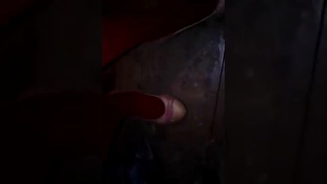 Киска барбариска смотреть онлайн