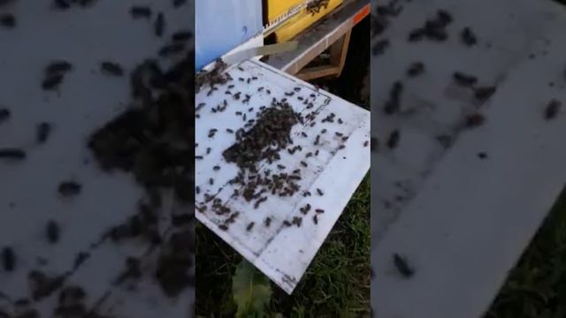 8 июня 2020 г. смотреть онлайн