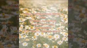 Ромашковое поле. Красивая песня, посвященная героям ВОВ