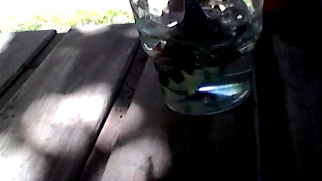 Волшебная вода смотреть онлайн