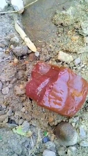 Wow Liver color rock stone #gems #gemstone #shorts смотреть онлайн