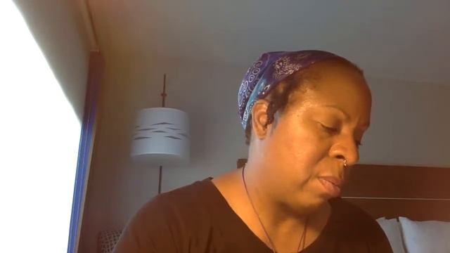 Silver Sheen Obsidian