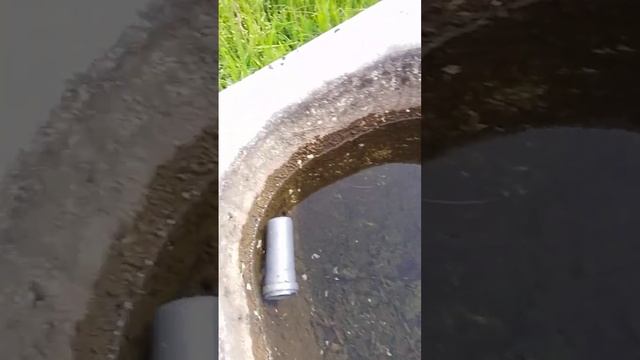 разводим мидий смотреть онлайн