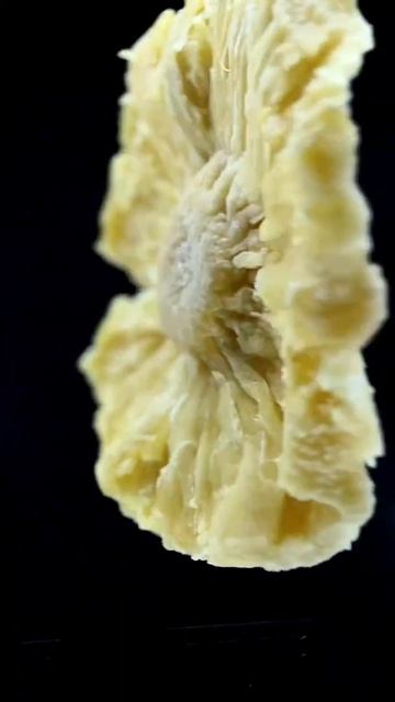 Ананас Сушеный Olmish Premium смотреть онлайн