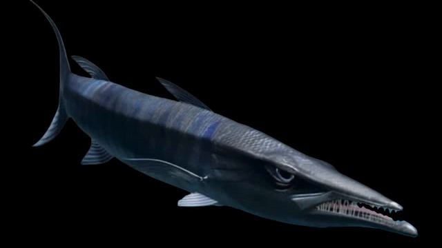 Barracuda (Finding Nemo) Sounds смотреть онлайн
