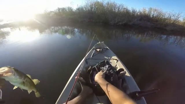 Top Water Bass on Kayak, Yuma AZ on Lifetime Tamarack Angler смотреть онлайн