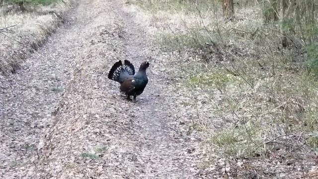 18 апреля 2020 г. смотреть онлайн