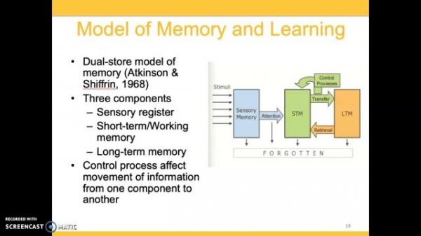 Developing Instructional Materials