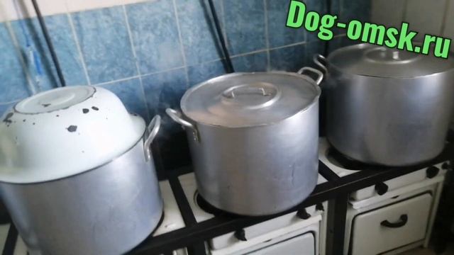 Катастрофа смотреть онлайн