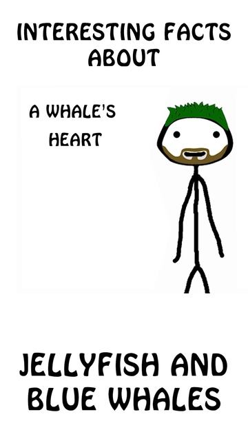 "Interesting facts about Jellyfish and Blue Whales" #shorts #short #Whales #doyouknow #facts смотреть онлайн