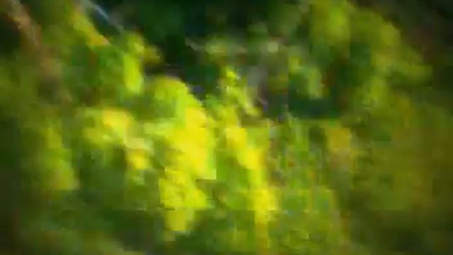 Начало разработки Куш-тау