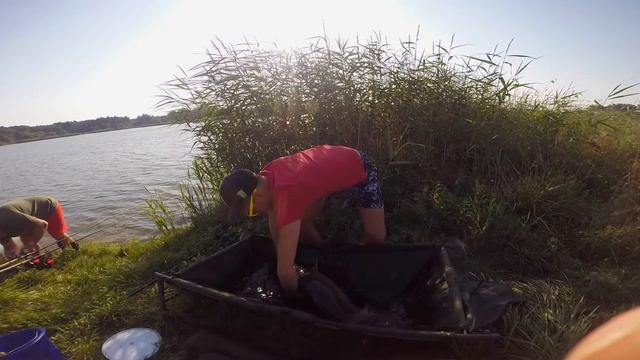 Nekielka Expert Karp 2014 смотреть онлайн