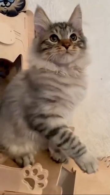 сладкие к😊л😊б😊чки смотреть онлайн