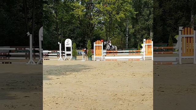 Cassiopeia´s Dream Delbrück Masters 2017 Stilspringen Kl. A*.mp4 смотреть онлайн
